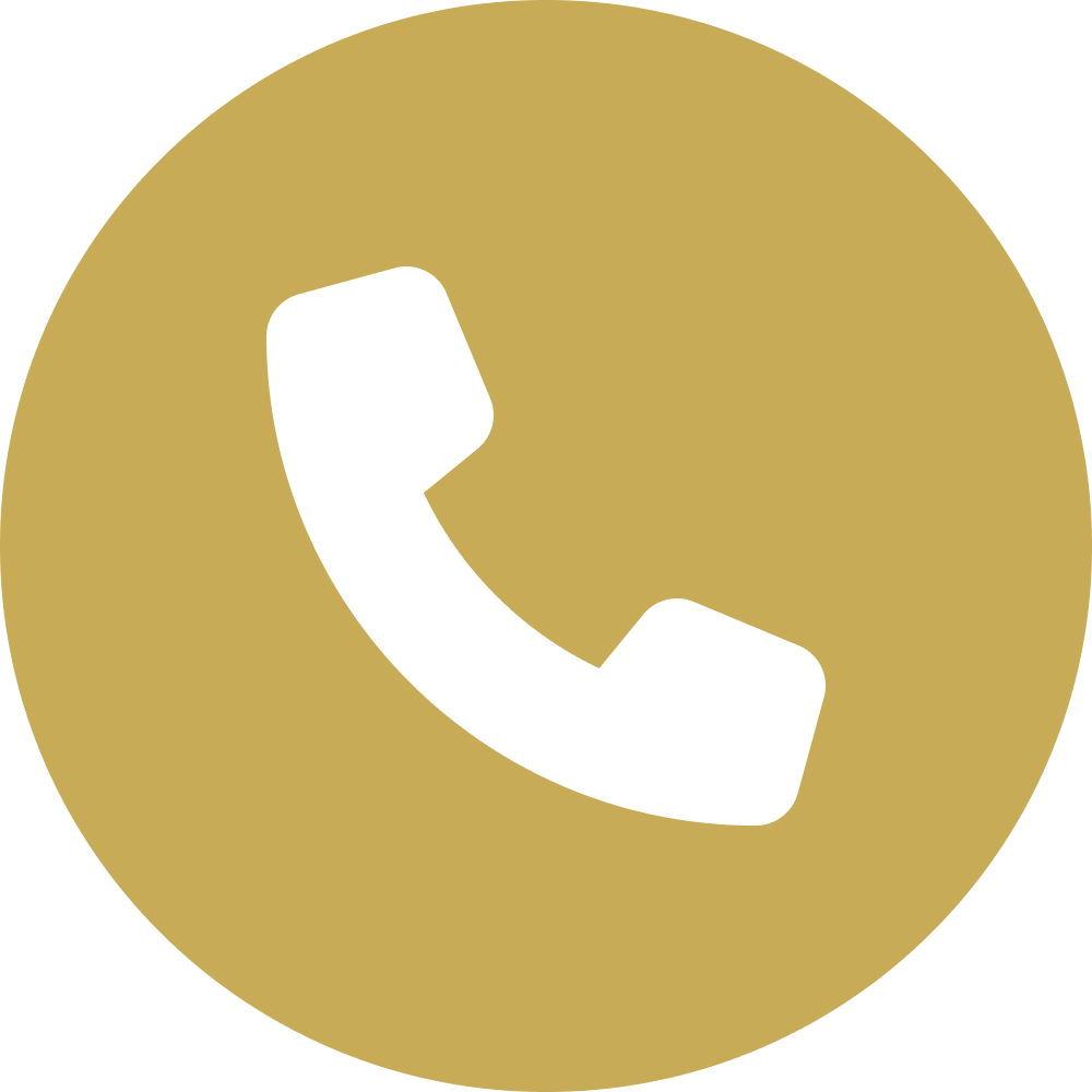 Phone icon